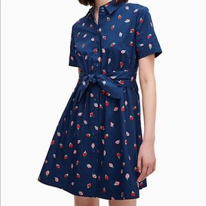 Kate Spade Wild Strawberries Tie Waist Dress XS